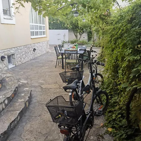 Jadranka Vodice